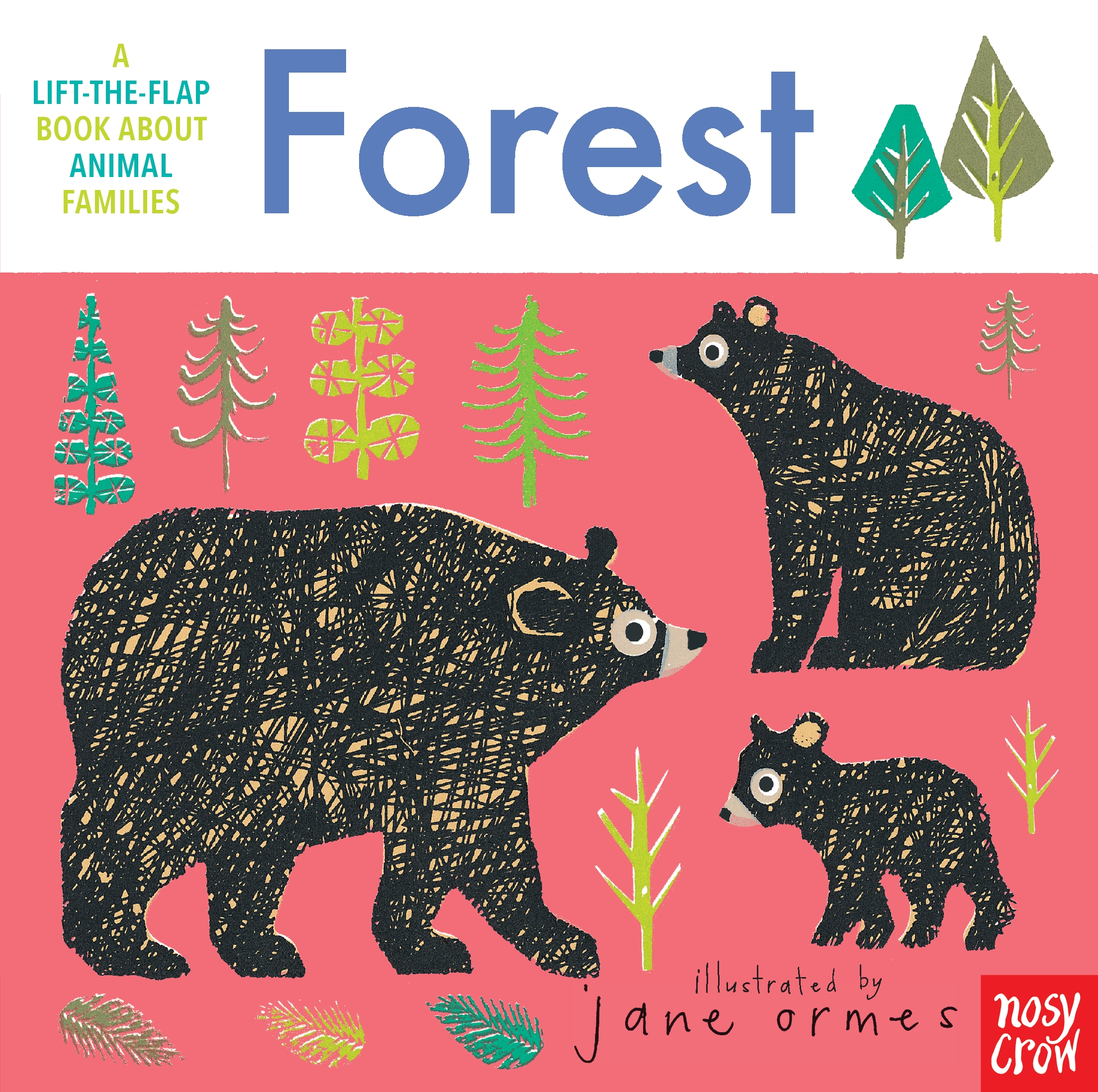 Animal Families: Forest (Board book)