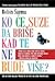 KO CE SUZE DA BRISE KAD TE NE BUDE VISE by Robin S. Sarma