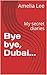 Bye bye, Dubai...: My secre...