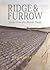 Ridge and Furrow by Neil Sentance