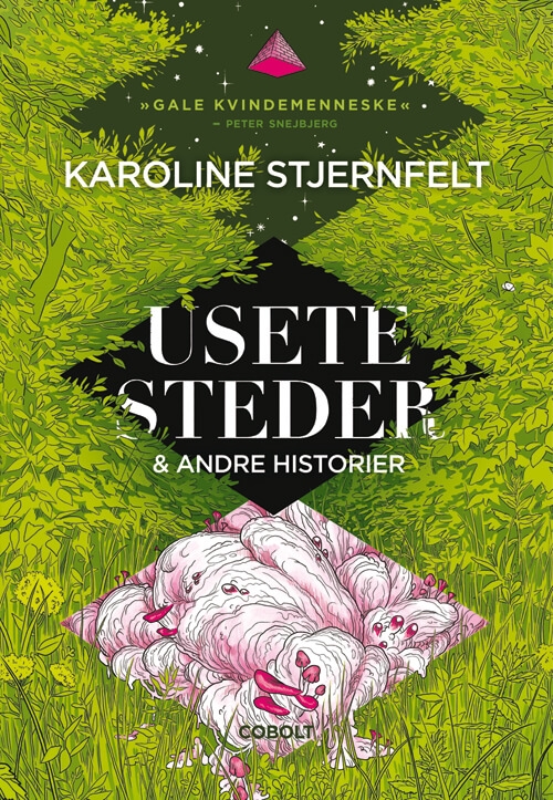 Usete steder (Paperback)