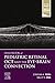 Handbook of Pediatric Retinal OCT and the Eye-Brain Connection E-Book