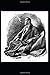 The Adventures of Sherlock Holmes by Sir Arthur Conan Doyle (Illustrated)