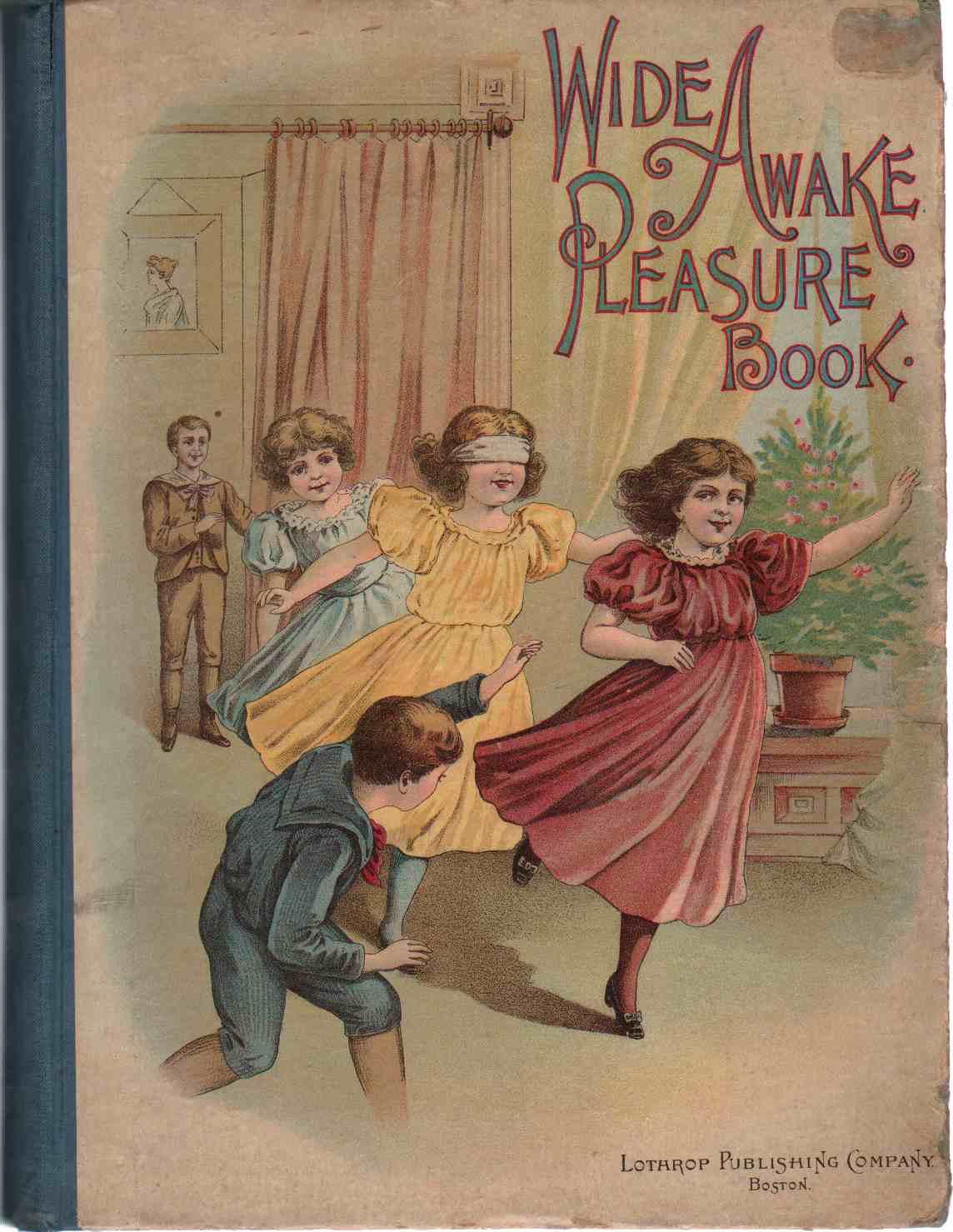 Wide Awake Pleasure Book