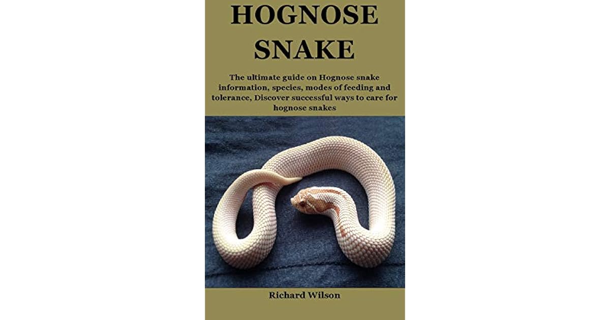 Hognose Snake The ultimate guide on Hognose snake information, species