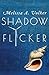 Shadow Flicker