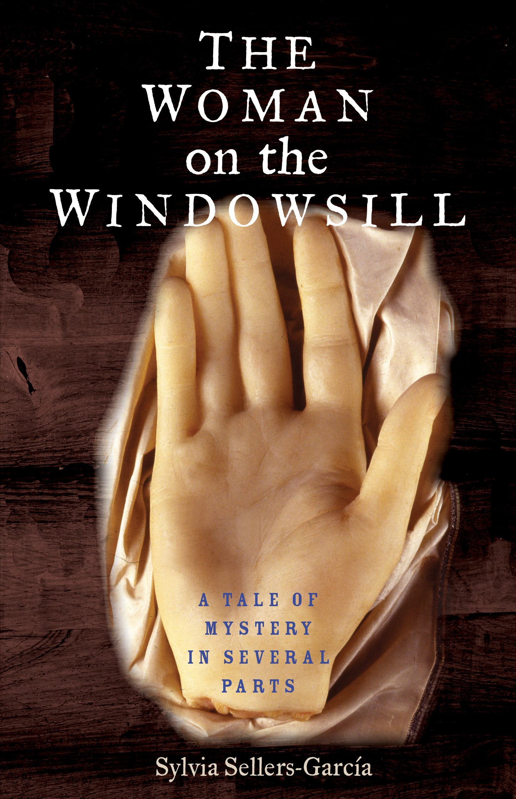 The Woman on the Windowsill: A Tale of Mystery in Several Parts (Hardcover)