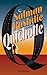 Quichotte by Salman Rushdie