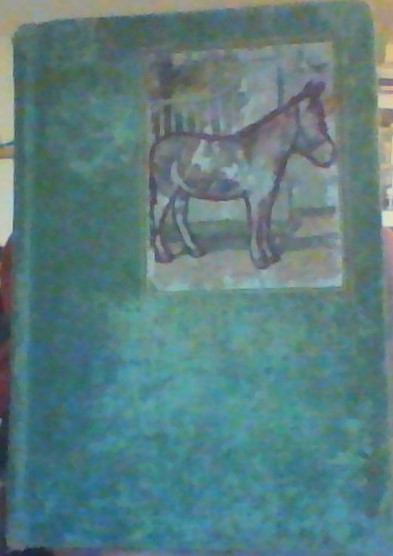 Neddy the Autobiography of a Donkey