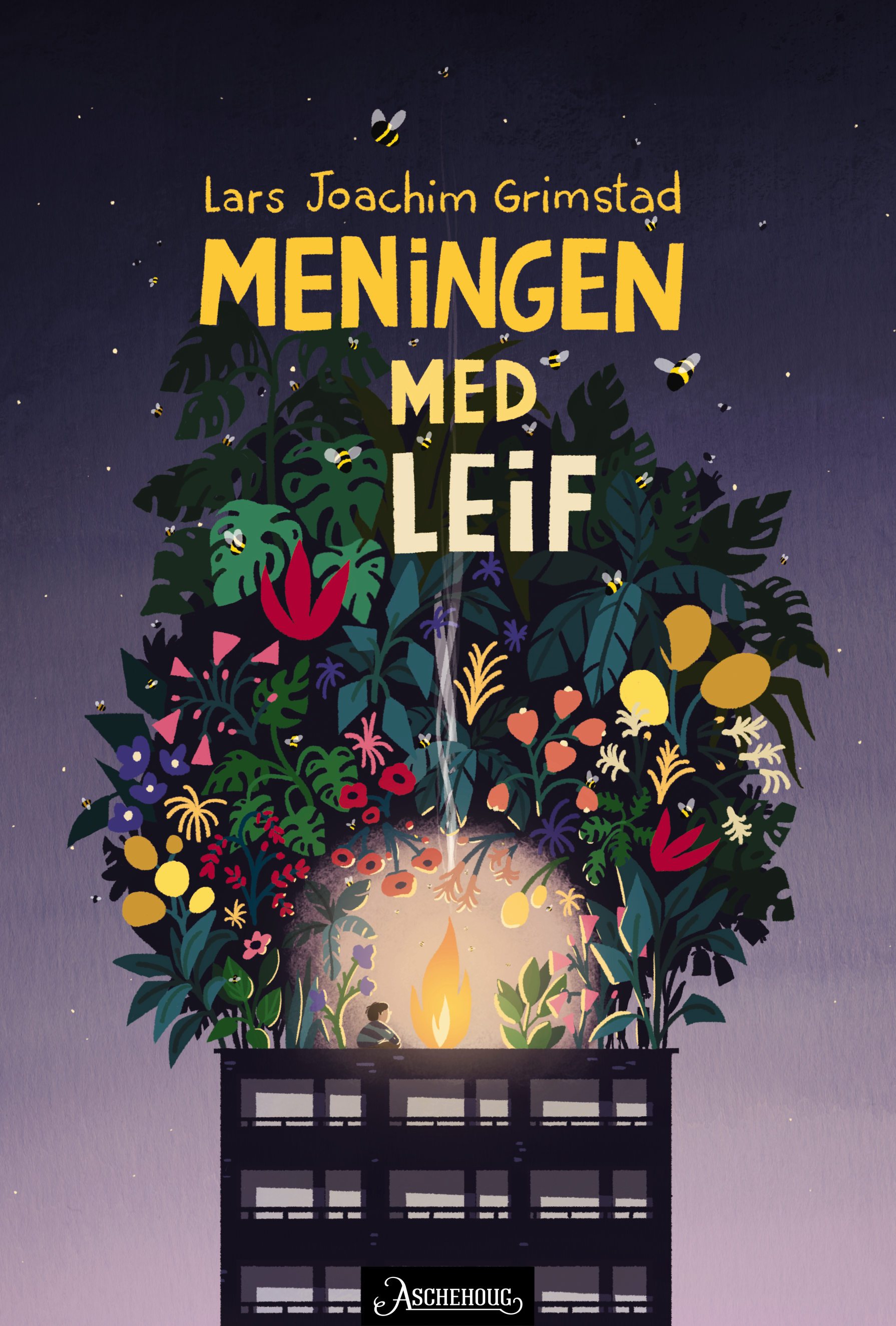 Meningen med Leif (Hardcover)