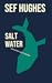 Salt Water and other short stories