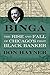 Binga: The Rise and Fall of Chicago's First Black Banker (Second to None: Chicago Stories)