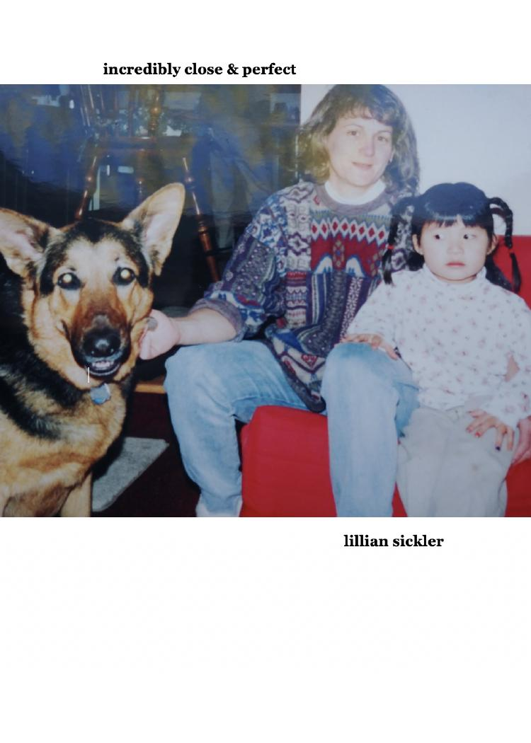 Incredibly Close & Perfect (ebook)