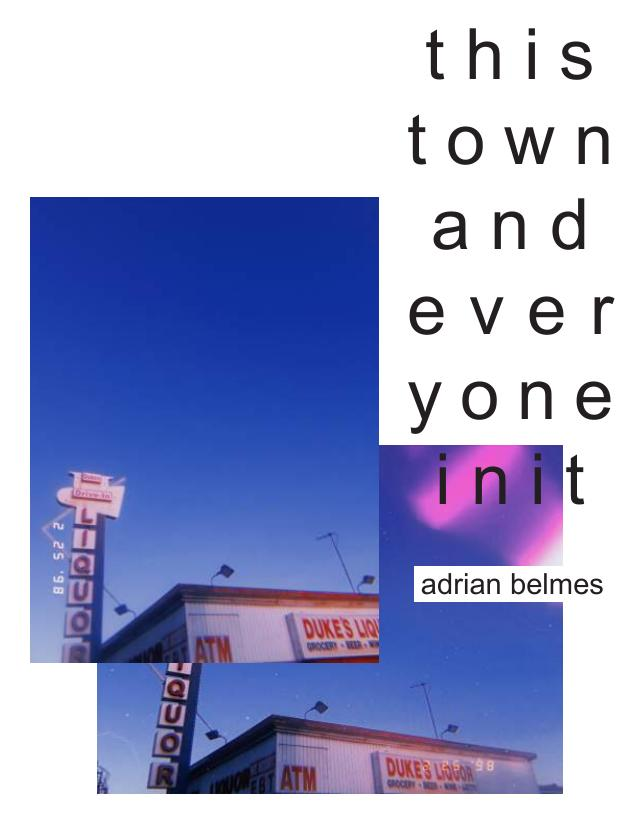 This Town and Everyone in It (ebook)
