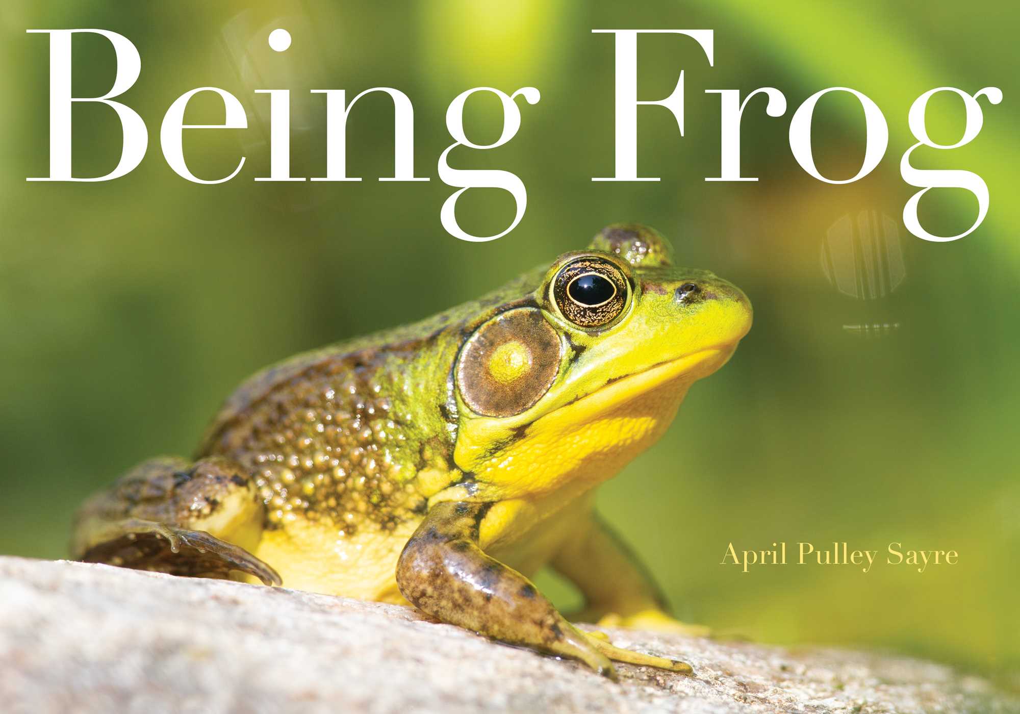 Being Frog (Hardcover)