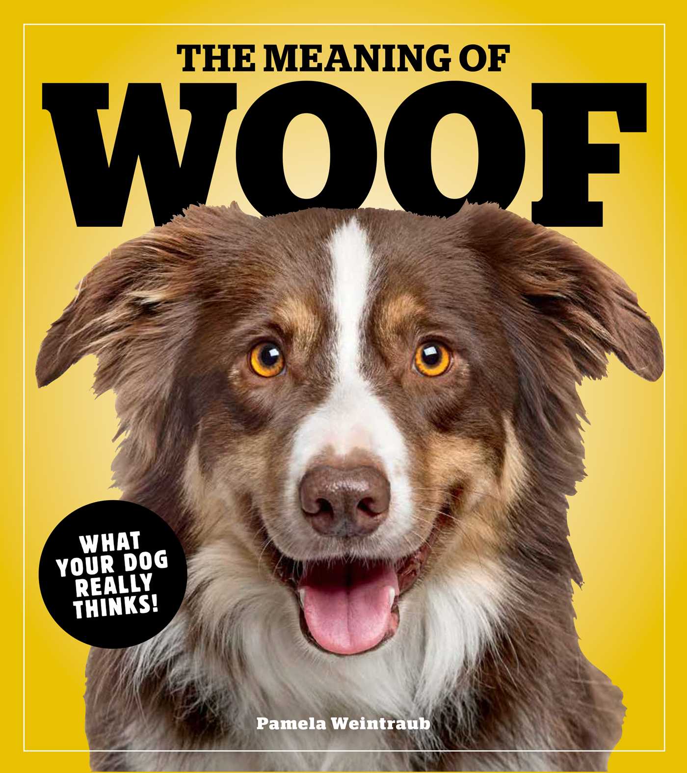 The Meaning of Woof: What Your Dog Really Thinks! (Paperback)