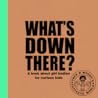 What's Down There?