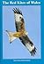 The Red Kites of Wales