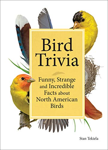 Bird Trivia: Funny, Strange and Incredible Facts about North American Birds (Kindle Edition)
