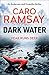 Dark Water (Anderson and Costello #3)