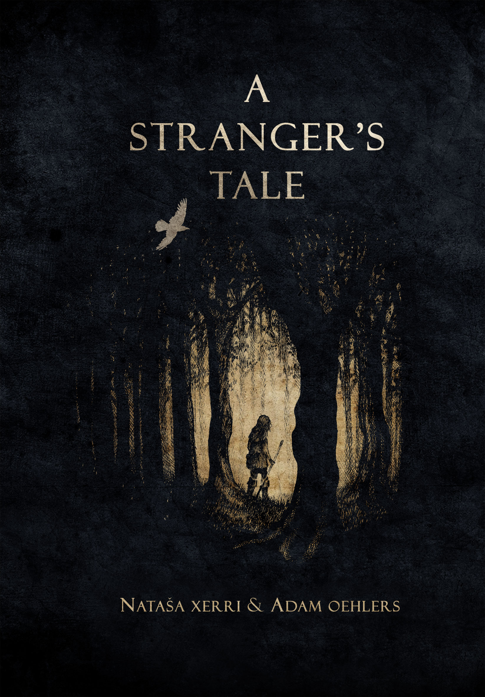 A Stranger's Tale (Hardcover)