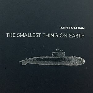 The Smallest Thing on Earth (Chapbook)
