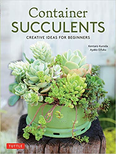 Container Succulents: Creative Ideas for Beginners (Paperback)