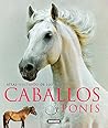Caballos y ponis