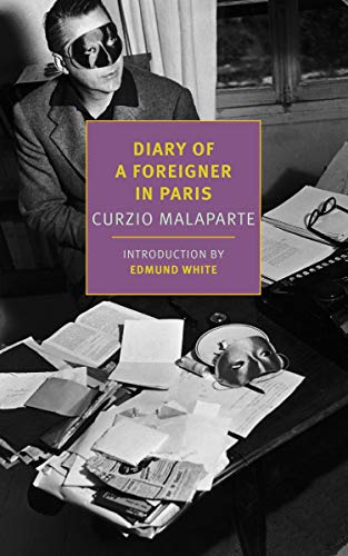 Diary of a Foreigner in Paris (Paperback)