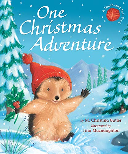One Christmas Adventure (Little Hedgehog #13)