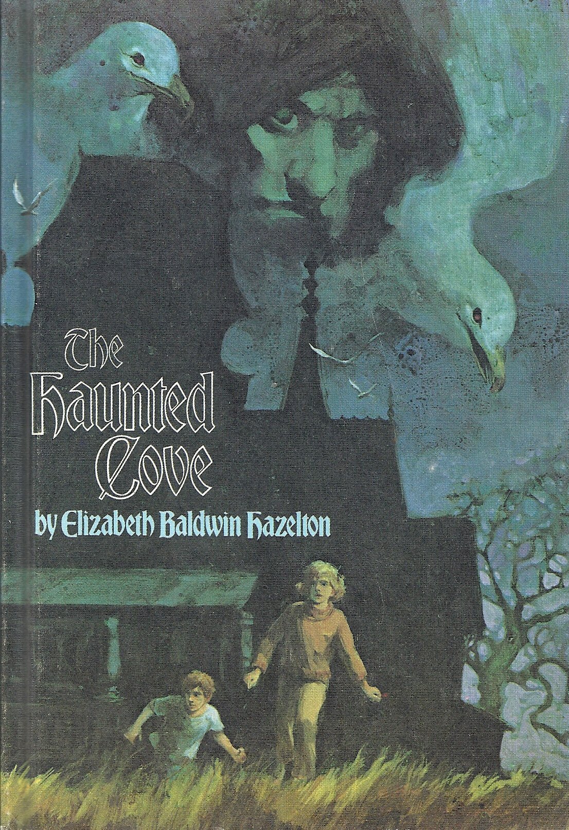 The Haunted Cove (Library Binding)