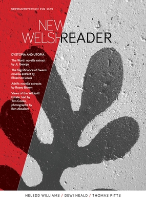 New Welsh Reader 122: Dystopian Fiction from Wales (New Welsh Review)