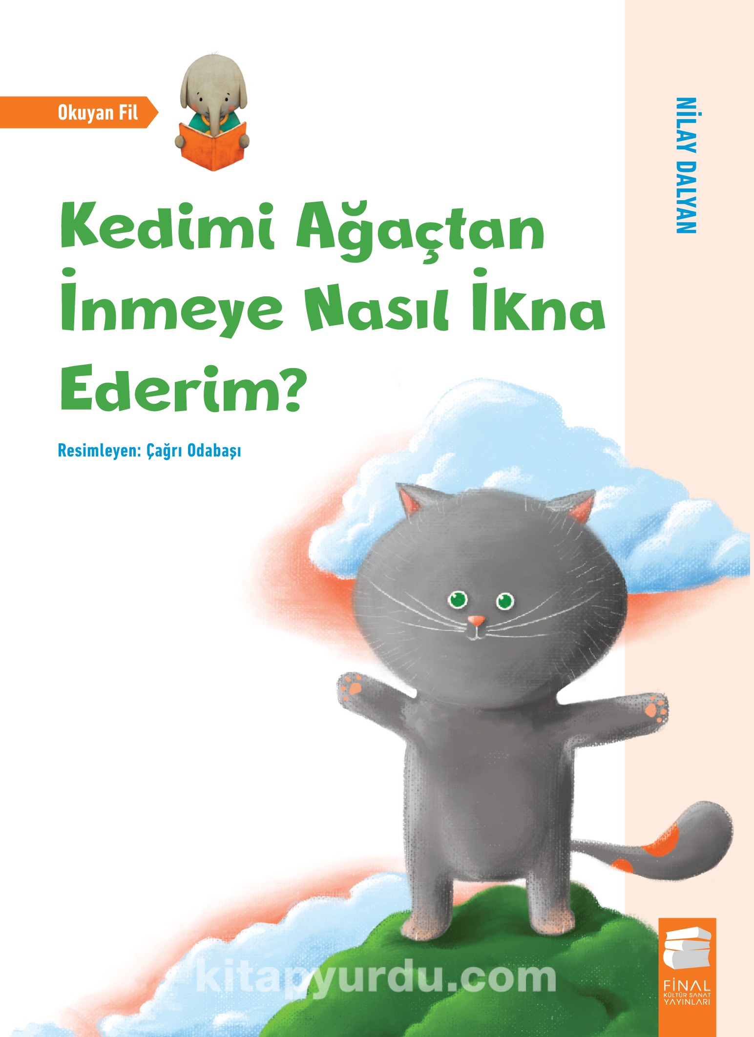 Kedimi Ağaçtan İnmeye Nasıl İkna Ederim? (Paperback)