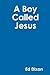 A Boy Called Jesus