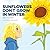 Sunflowers Don't Grow in Winter by Holdaway Emily