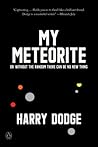 My Meteorite by Harry Dodge