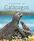 A Lifetime in Galápagos