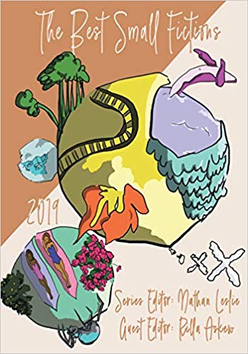 The Best Small Fictions: 2019 Anthology (Paperback)