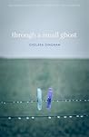 Through a Small Ghost: Poems (The Georgia Poetry Prize)