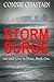 Storm Surge (Life and Love in Dixie)