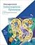 Management Information Systems for the Information Age