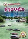 Floods by Rebecca Pettiford