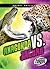 Anaconda vs. Jaguar
