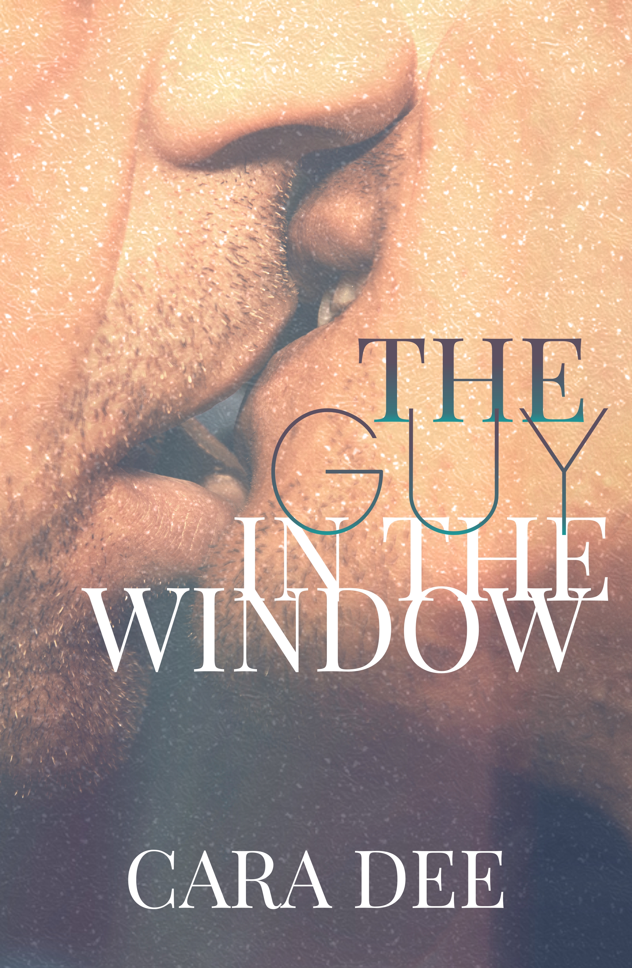The Guy in the Window (Paperback)