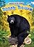 Black Bears