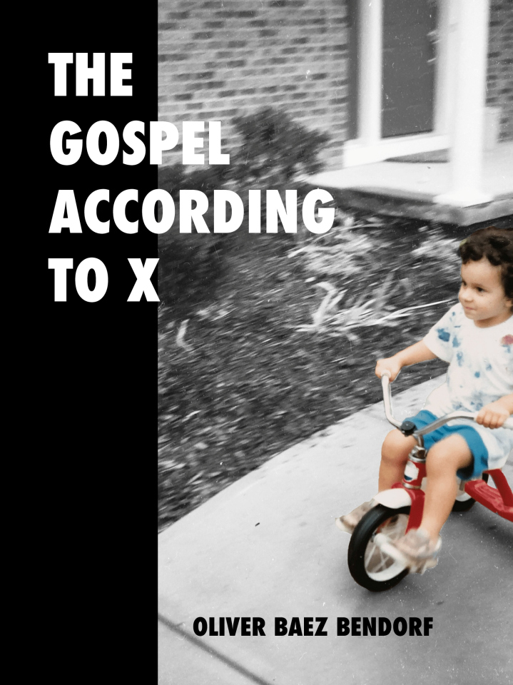 The Gospel According to X (Rane Arroyo Series, #12)