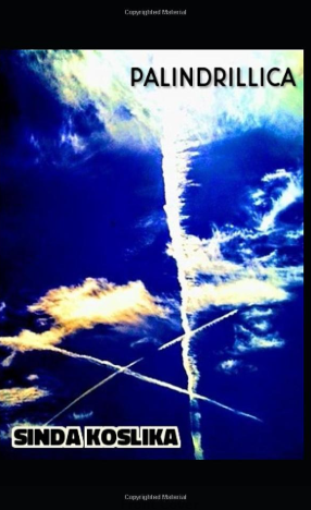 Palindrillica (Paperback)