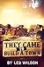THEY CAME TO BUILD A TOWN (An English Family in America Book 3)