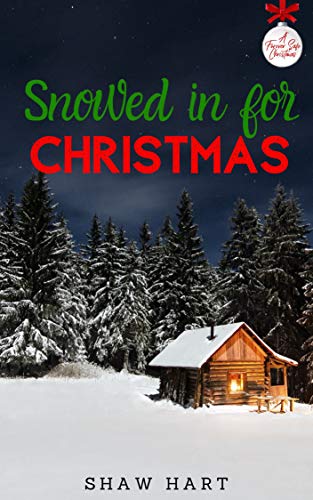 Snowed in for Christmas (A Forever Safe Christmas #16)