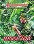Commando #4465: Terror Zone